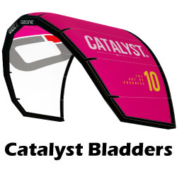 Catalyst Bladders
